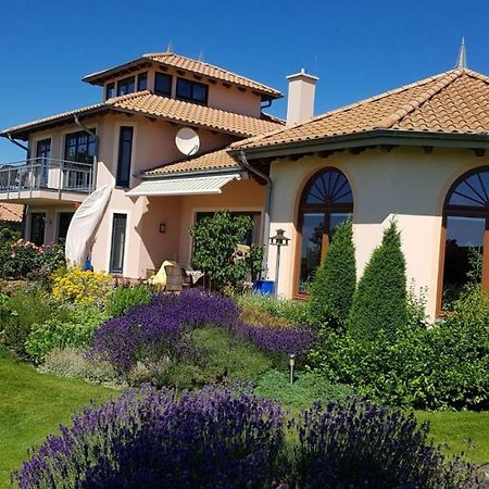 Ferienwohnung "Am Gruen" Zweedorf Exteriör bild