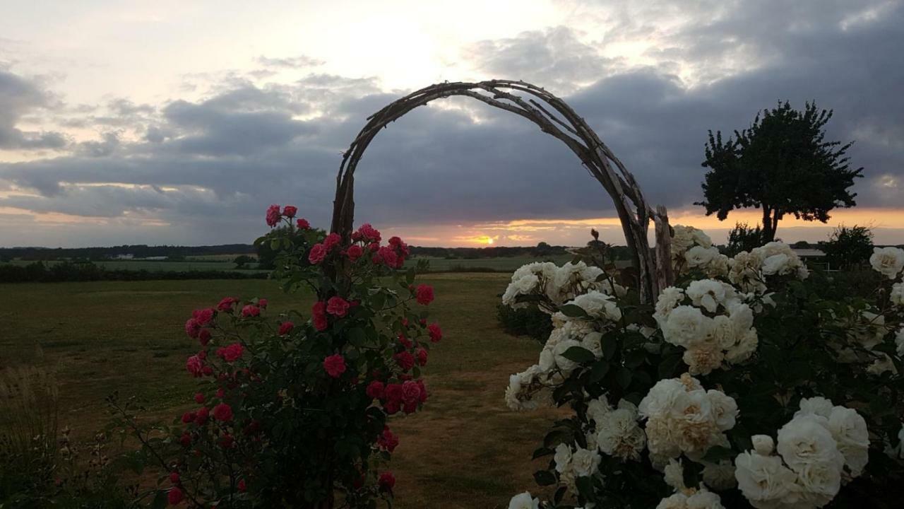 Ferienwohnung "Am Gruen" Zweedorf Exteriör bild
